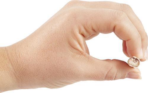 Show full view: Bones & Chews Standard Bully Stick 4" Dog Treats, 10 count slide 4 of 9