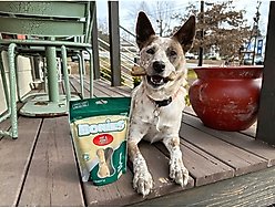 BONIES Hip & Joint Formula Regular Dog Treats, 5 count slide 2 of 9