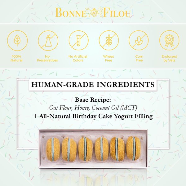 Bonne et Filou Handmade Birthday Cake Human-Grade Macaron Dog Treats