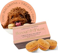 Bonne et Filou Handmade Pumpkin Human-Grade Macaron Dog Treats, 3 count