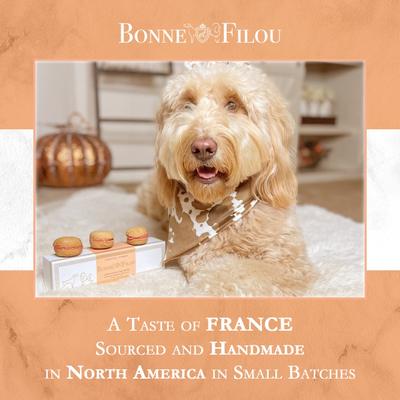 Show full view: Bonne et Filou Handmade Pumpkin Human-Grade Macaron Dog Treats, 3 count slide 7 of 9