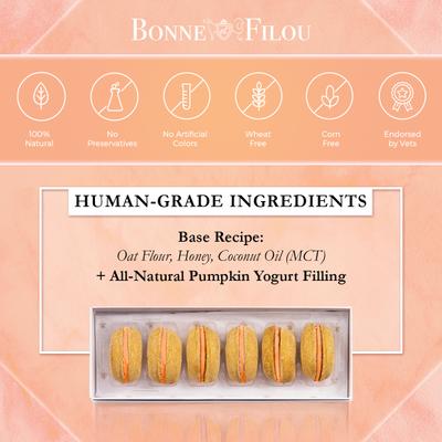 Show full view: Bonne et Filou Handmade Pumpkin Human-Grade Macaron Dog Treats, 3 count slide 5 of 9