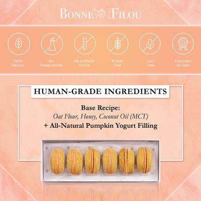 Show full view: Bonne et Filou Handmade Pumpkin Human-Grade Macaron Dog Treats, 6 count slide 5 of 10