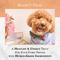 Show in main carousel: Bonne et Filou Handmade Pumpkin Human-Grade Macaron Dog Treats, 6 count slide 7 of 10