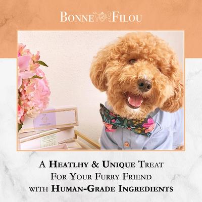 Show full view: Bonne et Filou Handmade Pumpkin Human-Grade Macaron Dog Treats, 6 count slide 7 of 10