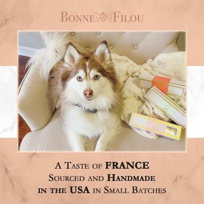 Show full view: Bonne et Filou Handmade Salted Caramel Human-Grade Macaron Dog Treats, 6 count slide 8 of 10
