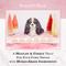 Show in main carousel: Bonne et Filou Handmade Strawberry Human-Grade Macaron Dog Treats, 3 count slide 6 of 12