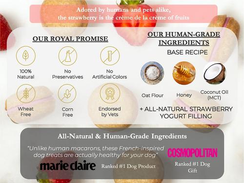 Show full view: Bonne et Filou Handmade Strawberry Human-Grade Macaron Dog Treats, 6 count slide 6 of 13