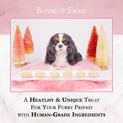 Show full view: Bonne et Filou Handmade Strawberry Human-Grade Macaron Dog Treats, 6 count slide 7 of 13