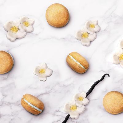 Show full view: Bonne et Filou Handmade Vanilla Human-Grade Macaron Dog Treats, 3 count slide 9 of 10