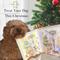 Show in main carousel: Bonne et Filou Holiday Advent Calendar Dog Treats slide 4 of 11