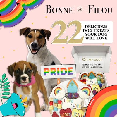 Show full view: Bonne et Filou Human-Grade Pride Themed Dog Treats Gift Box, 22 count slide 7 of 8