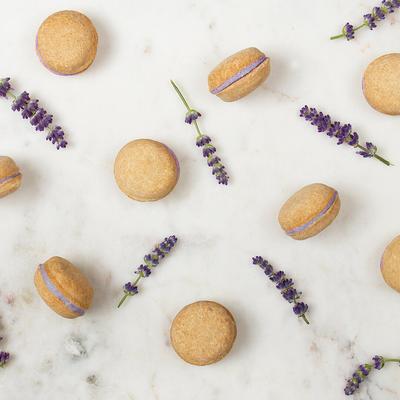 Show full view: Bonne et Filou Lavender All-Natural Handmade Macaron Dog Treats, 6 count slide 4 of 13
