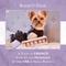 Show in main carousel: Bonne et Filou Lavender All-Natural Handmade Macaron Dog Treats, 6 count slide 8 of 13