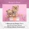 Show in main carousel: Bonne et Filou Luxury French Macarons Rose Flavor Dog Treats, 6 count slide 6 of 10