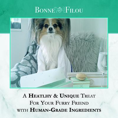 Show full view: Bonne et Filou Mint All-Natural Handmade Macaron Dog Treats, 6 count slide 7 of 13