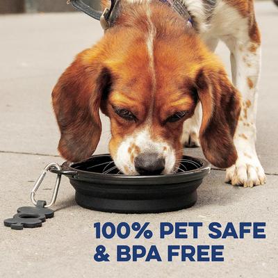 Show full view: Bonza Collapsible Silicone Dog Bowl, Black, Large, 1 count slide 8 of 10