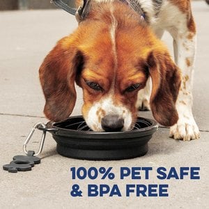 Bonza Collapsible Silicone Dog Bowl, Black, Medium, 1 count