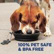 Show in main carousel: Bonza Collapsible Silicone Dog Bowl, Blue, Medium, 1 count slide 8 of 10