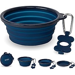 Bonza Collapsible Silicone Dog Bowl, Blue, Small, 1 count