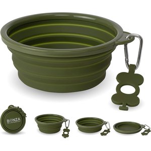 Bonza Collapsible Silicone Dog Bowl, Green, X-Large, 1 count