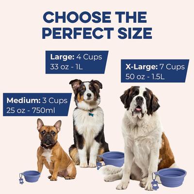 Show full view: Bonza Collapsible Silicone Dog Bowl, Green, X-Large, 1 count slide 3 of 10