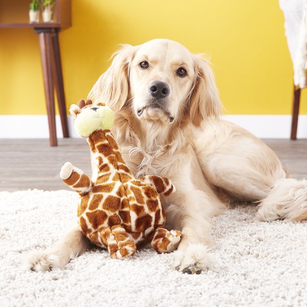 Show full view: Booda Bellies Plush Dog Toy, Giraffe slide 2 of 5
