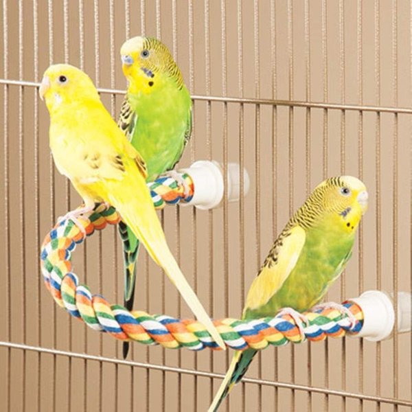 Show full view: Booda Large Comfy Bird Perch, 21-in slide 7 of 10