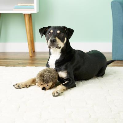 Show full view: Booda Soft Bite Large Hedgehog Plush Dog Toy slide 2 of 5