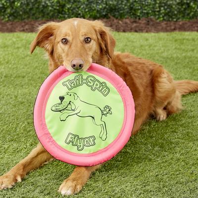 Show full view: Booda Soft Bite Tail Spin Flyer Flying Disc Dog Toy, Color Varies, Large slide 5 of 8