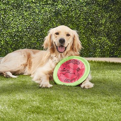 Show full view: Booda Soft Bite Tail Spin Flyer Flying Disc Dog Toy, Color Varies, Medium slide 2 of 7