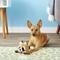 Show in main carousel: Booda Squatter Small Raccoon Plush Dog Toy slide 2 of 6
