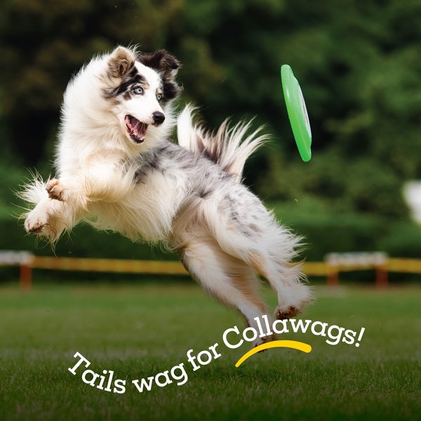 Simply Wags Retriever Rolls Beef Dog Chew Treats