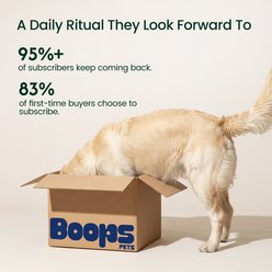 Boops Pets Probiotic 30 Billion CFU with 12 Strains + Prebiotic, Postbiotics & Digestive Enzymes Filet Mignon Steak Flavored Soft Chews Supplements for Dogs, 60 count slide 2 of 9
