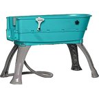 Booster Bath Elevated Dog Bathing & Grooming Center, Large, Teal