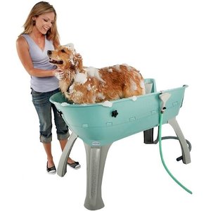 Booster Bath Elevated Dog Bathing & Grooming Center, Large, Teal