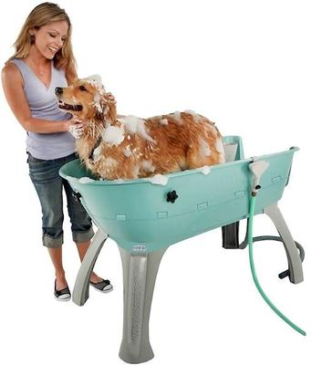 Show full view: Booster Bath Elevated Dog Bathing & Grooming Center, Large, Teal slide 5 of 9