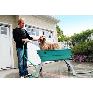Booster Bath Elevated Dog Bathing & Grooming Center, Large, Teal