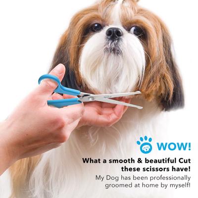 Show full view: Boshel Dog Grooming Scissors Set slide 6 of 9