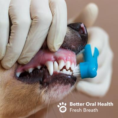 Show full view: Boshel Silicone Finger Dog & Cat Toothbrush Set slide 5 of 11