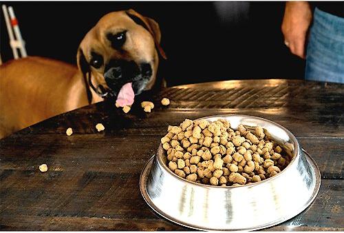 Show full view: Boss Dog Fish Flavor Freeze-Dried Dog Food, 12-oz pouch slide 3 of 9