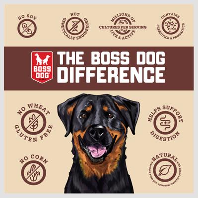 Show full view: Boss Dog Fish Flavor Freeze-Dried Dog Food, 12-oz pouch slide 5 of 9