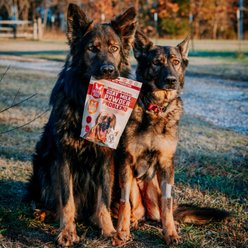 Boss Dog Goat Milk Powder Problend Dog & Cat Food Topper, 12-oz pouch slide 2 of 4