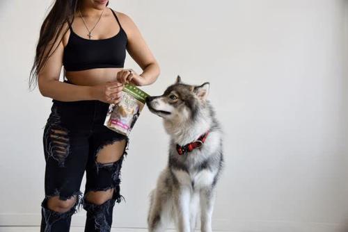 Show full view: Boss Dog Probites Beef with Tripe Dog Treats, 3-oz bag slide 5 of 8