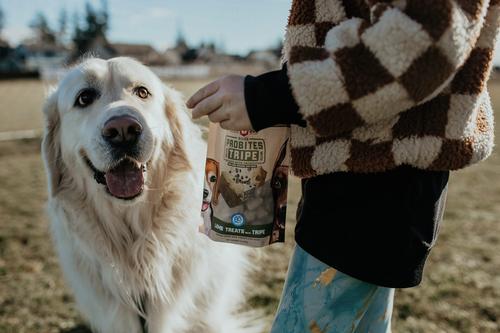 Show full view: Boss Dog Probites Lamb with Tripe Dog Treats, 3-oz bag slide 5 of 8