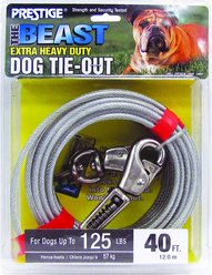 Boss Pet Prestige Dog Tie-Out with Spring, Beast, Silver, 40-ft slide 1 of 3