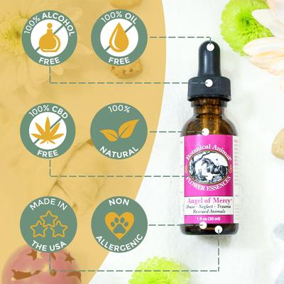 Show full view: Botanical Animal Flower Essences Angel of Mercy Calming Pet Supplement, 1-fl oz bottle slide 4 of 8