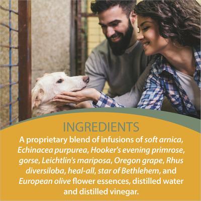 Show full view: Botanical Animal Flower Essences Angel of Mercy Calming Pet Supplement, 1-fl oz bottle slide 6 of 8