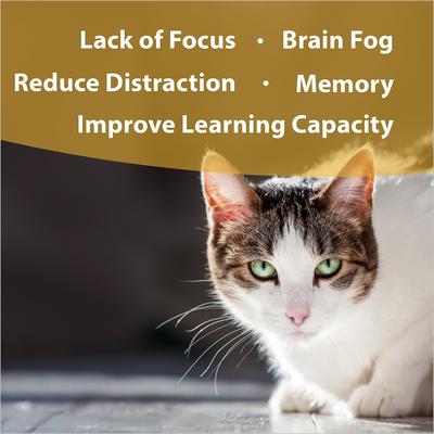 Show full view: Botanical Animal Flower Essences Clear Thinking Calming Pet Supplement, 1-fl oz bottle slide 3 of 7