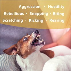 Botanical Animal Flower Essences Devil Be Gone Calming Pet Supplement, 4-fl oz bottle slide 2 of 6